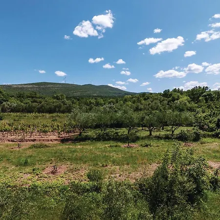 Ribnica-krusevo With Sea View Xii Anić