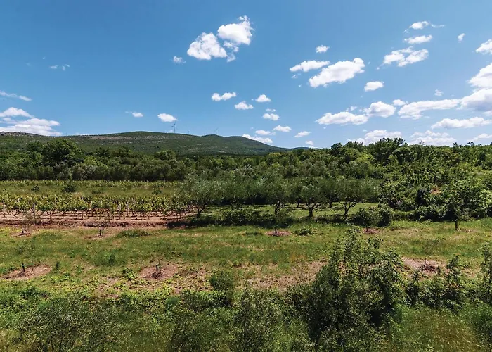 Ribnica-krusevo With Sea View Xii Anić